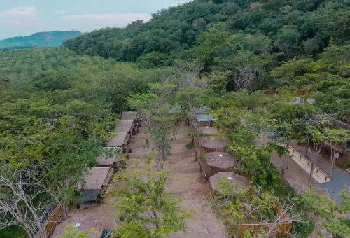 Aerial view of the Phuket Elephant Conservation camp nestled in lush green surroundings.
