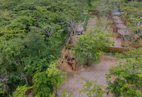 High-angle aerial photo of elephants roaming within the spacious, green grounds of Phuket Elephant Conservation.