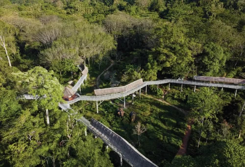 phuket-elephant-sanctuary-canopy-walkway-phuket-travel-store-6