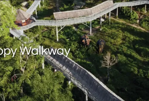 Phuket Elephant Sanctuary Canopy Walkway Phuket Travel Store 9