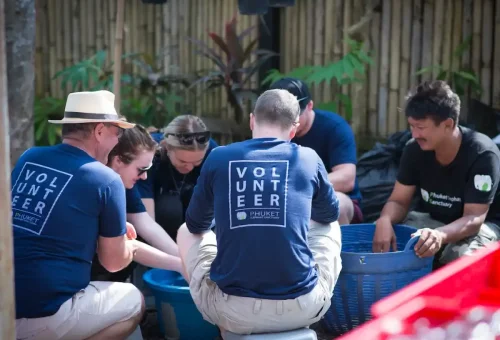 Phuket Elephant Sanctuary Volunteer Phuket Travel Store 2