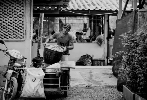 Phuket Elephant Sanctuary Volunteer Phuket Travel Store 4