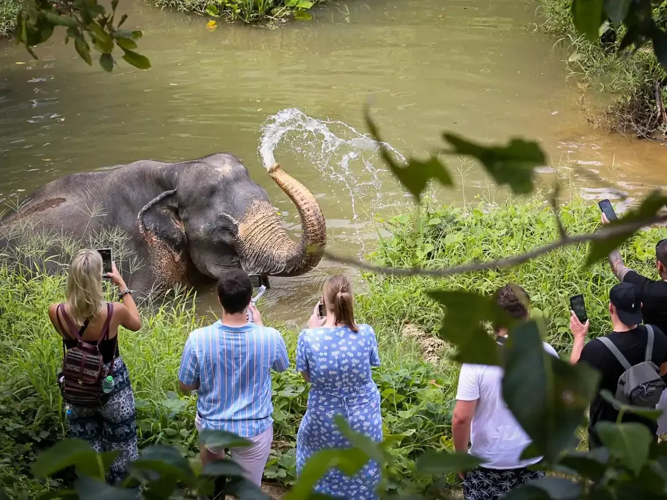 phuket-elephant-sanctuary-volunteer-phuket-travel-store-5
