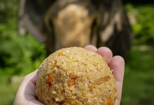 Phuket Elephant Sanctuary Full Day Phuket Travel Store  1