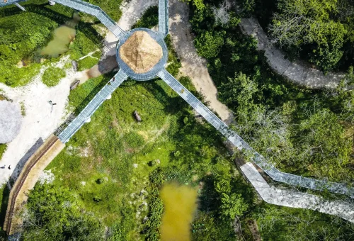 phuket-elephant-sanctuary-full-day-phuket-travel-store-13