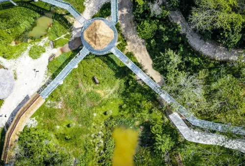 An aerial view of Phuket Elephant Sanctuary, showcasing open grassy areas, forested jungle, and roaming elephants in a peaceful natural environment.