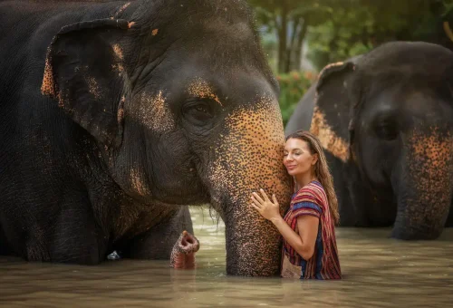 phuket-elephant-jungle-sanctuary-half-day-experience-phuket-travel-store-6