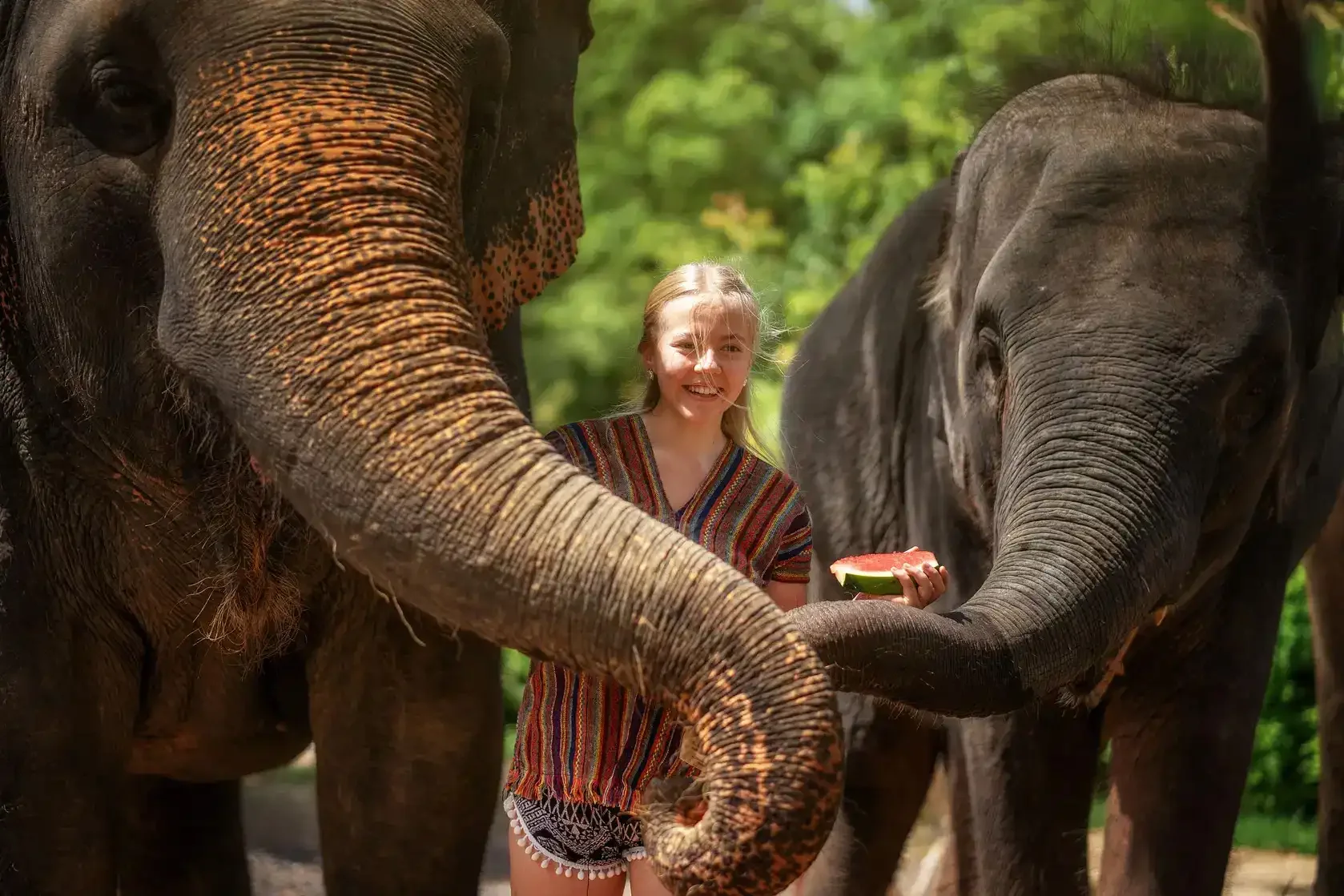 Phuket Elephant Jungle Sanctuary Half Day Experience Phuket Travel Store 11