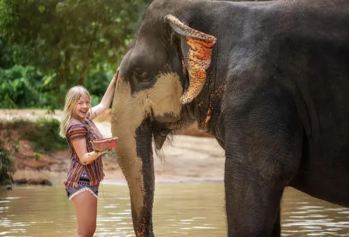 phuket-elephant-jungle-sanctuary-half-day-experience-phuket-travel-store-12