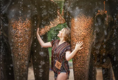 Phuket Elephant Jungle Sanctuary Half Day Experience Phuket Travel Store 14