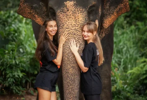 Visitor joyfully feeding an elephant during the Feed Me experience at Phuket Elephant Jungle Sanctuary, showcasing a peaceful human-elephant connection.