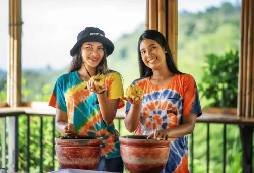 Phuket Elephant Jungle Sanctuary Watch Me Experience Phuket Travel Store 3