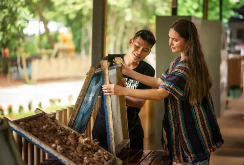 Phuket Elephant Jungle Sanctuary Walk With Elephants Experience Phuket Travel Store 3