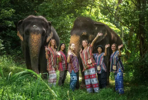 phuket-elephant-jungle-sanctuary-walk-with-elephants-experience-phuket-travel-store-14