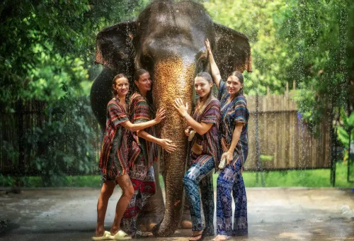 Guest photographing elephants in their natural jungle habitat during the Walk with Elephants experience at Phuket Elephant Jungle Sanctuary.