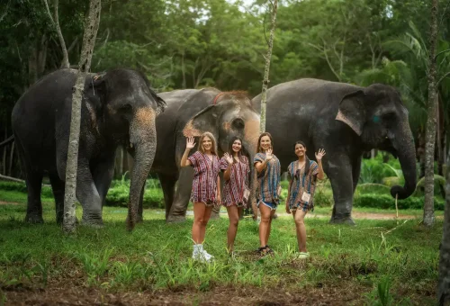 phuket-elephant-jungle-sanctuary-jumbo-elephant-program-phuket-travel-store-6