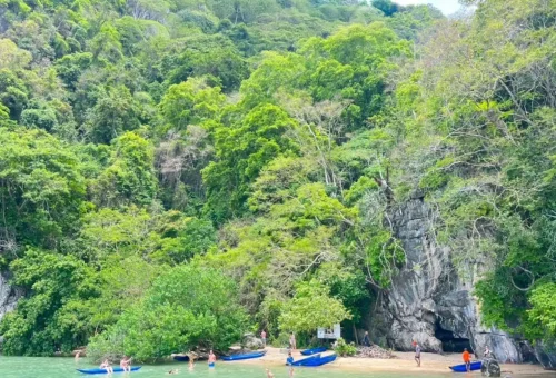 Guests taking a paddle break on a quiet, sandy beach with their Andaman sea kayaks resting nearby, surrounded by tropical trees and calm waters.
