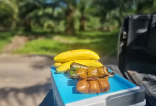 Cyclists taking a break and enjoying fresh tropical fruits during the Koh Yao Noi cycling tour with Phuket Travel Store