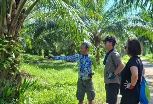 Tour guide explaining local plants and nature during a stop on the Koh Yao Noi cycling tour with Phuket Travel Store