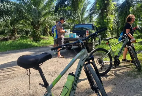 Cycling tour group walking through a lush rainforest trail during the Koh Yao Noi cycling tour with Phuket Travel Store