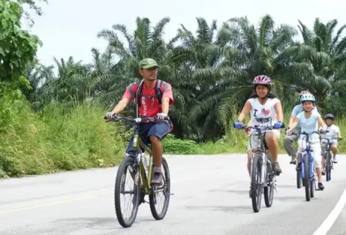 Cyclist enjoying a peaceful ride through lush natural surroundings on the Koh Yao Noi cycling tour with Phuket Travel Store