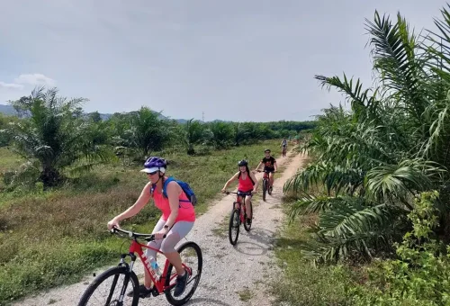 Phuket Countryside Cycling Phuket Travel Store 1