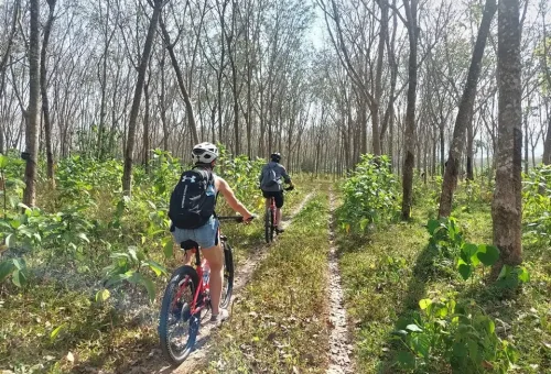 Cyclist navigating a narrow, hidden path surrounded by lush tropical plants in Phuket’s quiet countryside, offering a sense of discovery and adventure.