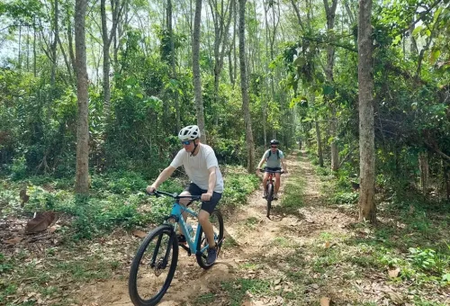 Professional cross biking guides riding through a narrow jungle trail in Phuket, surrounded by tropical trees and natural greenery during an off-road tour.