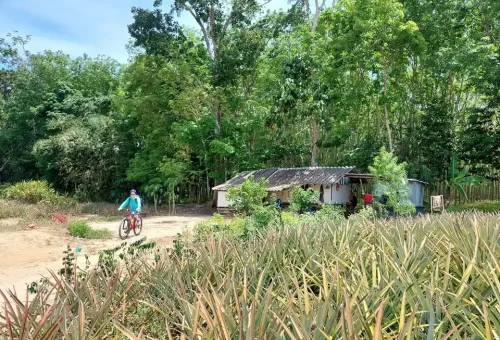 phuket-countryside-cycling-phuket-travel-store-12