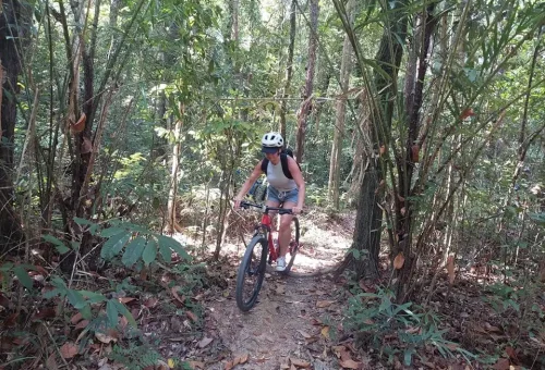 Cross biking guides riding through the lush rainforest in Phuket, surrounded by towering trees, thick foliage, and a misty, tropical atmosphere.