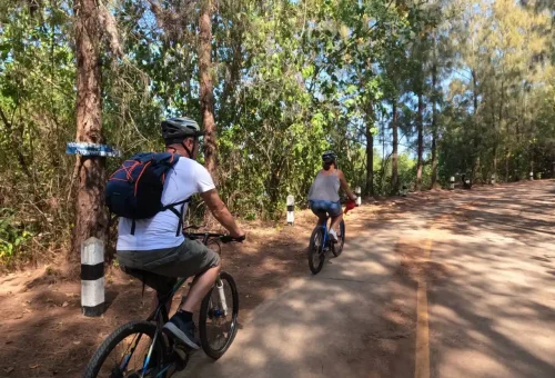 Cycling couple riding side by side on a peaceful road at Koh Yao Noi, surrounded by palm trees, greenery, and tropical island scenery