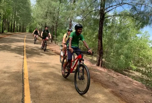 Cycling group with a local guide riding along a quiet, tree-lined road on Koh Yao Noi, surrounded by tropical nature and peaceful island scenery.
