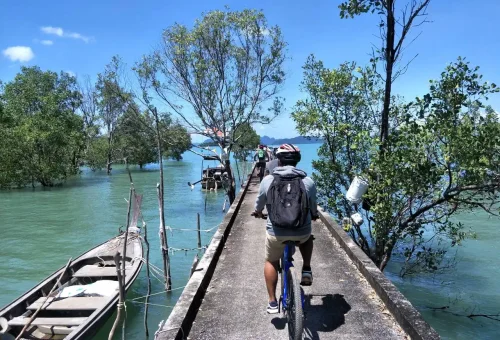 Cyclist riding through a quiet village road toward a pier at Koh Yao Noi, with tropical homes and palm trees lining the way.