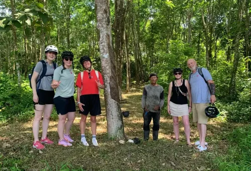 Cycling group posing for a photo among tall rubber trees in a plantation on Koh Yao Noi, surrounded by natural shade and tropical greenery.