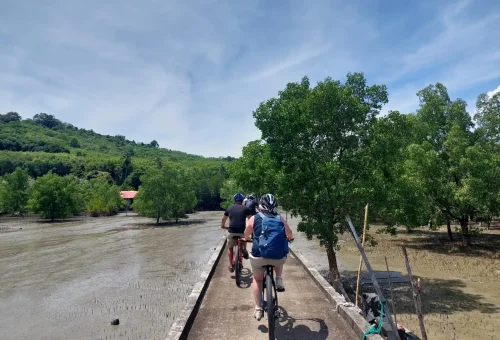 Cyclist riding along a narrow village lane in a coastal fishing village on Koh Yao Noi, with views of local boats, wooden stilt houses, and the sea.