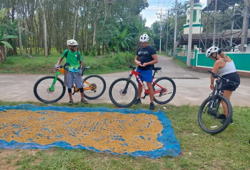 Cyclist riding through a small village on Koh Yao Noi, passing local homes, smiling residents, and scenes of everyday island life.