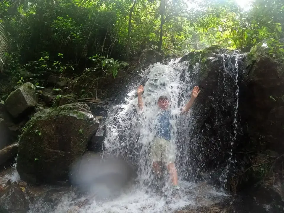 Phuket Rainforest And Waterfall Hiking Phuket Travel Store 3