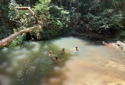 Phuket Rainforest And Waterfall Hiking Phuket Travel Store 4