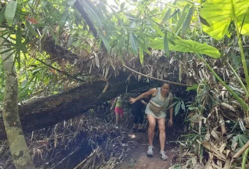 Phuket Rainforest And Waterfall Hiking Phuket Travel Store 6