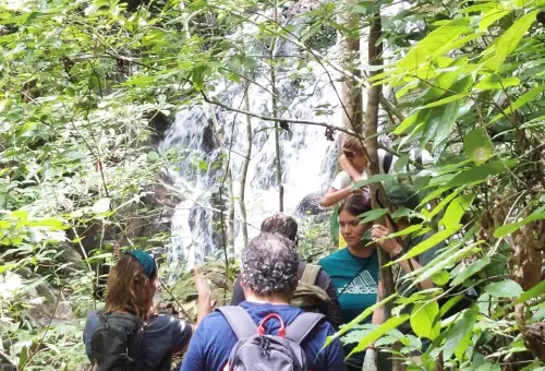 phuket-rainforest-and-waterfall-hiking-phuket-travel-store-7