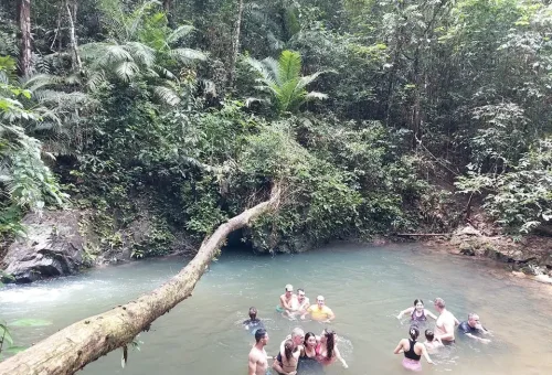 Phuket Rainforest And Waterfall Hiking Phuket Travel Store 10