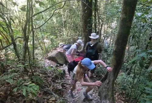 Hiking group making their way through a dense jungle trail in Phuket’s rainforest, surrounded by lush greenery, vines, and tropical trees.