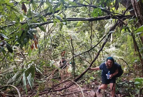 Group of hikers walking through a dense, tropical jungle trail in Phuket’s rainforest, surrounded by rich greenery and natural wildlife sounds