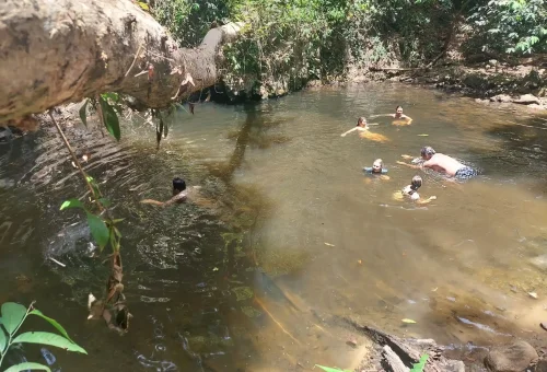Customers swimming and enjoying a natural waterfall pool deep in Phuket’s jungle, surrounded by rocks, flowing water, and tropical rainforest.