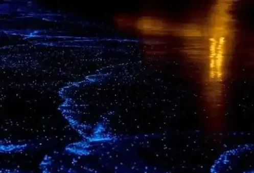 twilight-sea-canoe-phuket-travel-store-2