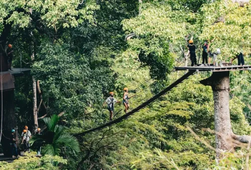 Adventure seeker enjoying an adrenaline-pumping zipline ride through Phuket’s rainforest at Flying Hanuman