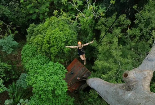 Excited adventurer soaring through the tropical jungle on a high-speed zipline at Flying Hanuman, Phuket