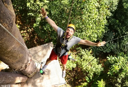 Couples and families gearing up and enjoying a zipline adventure at Flying Hanuman, surrounded by Phuket’s lush rainforest