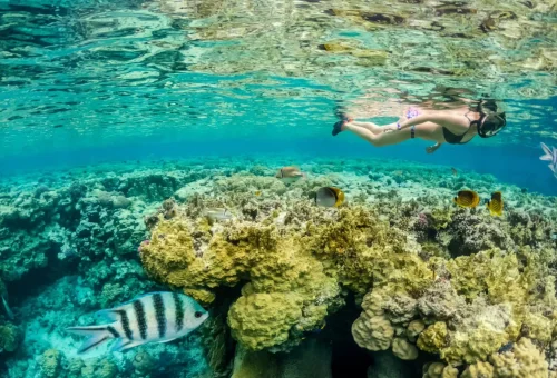 Snorkeler exploring vibrant coral reefs and tropical fish in the clear waters at Kahung Beach, Coral Island