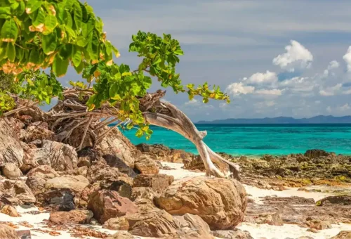 Scenic view of Bamboo Island with white sandy beach, lush greenery, and crystal-clear water during the Phi Phi Island speed catamaran tour by Phuket Travel Store